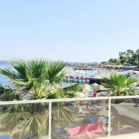 Hotel Comfy With Shared Pool Near 3*