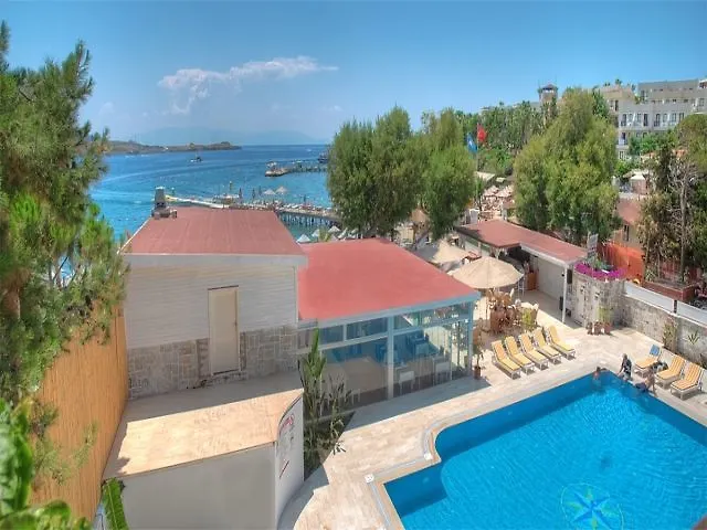 Hotel Comfy With Shared Pool Near 3*