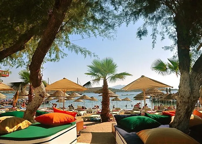 Comfy With Shared Pool Near Hotel Bodrum