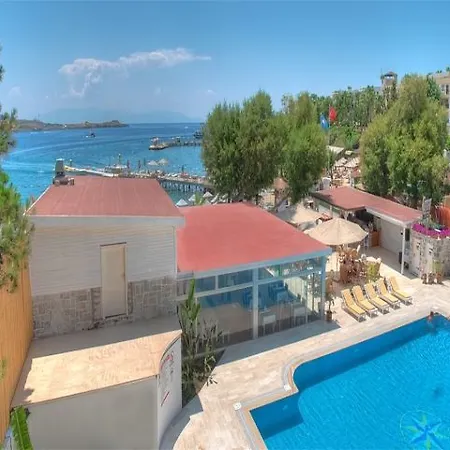 Hotel Comfy With Shared Pool Near 3*