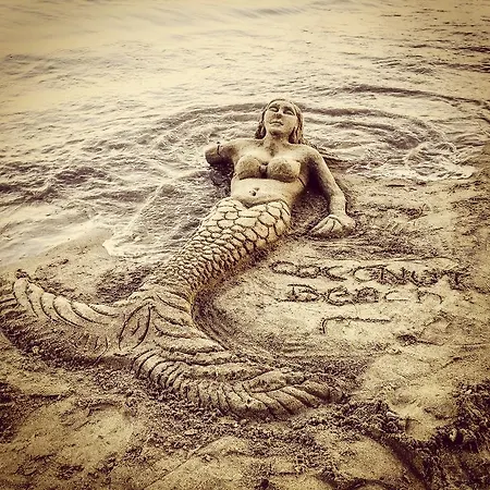 Otel Comfy With Shared Pool Near Bodrum