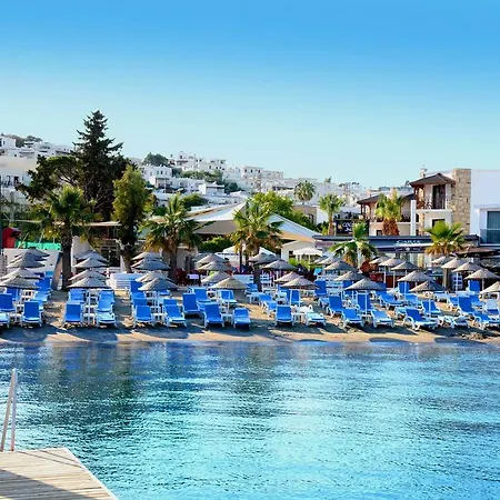 Hotel Comfy With Shared Pool Near 3*