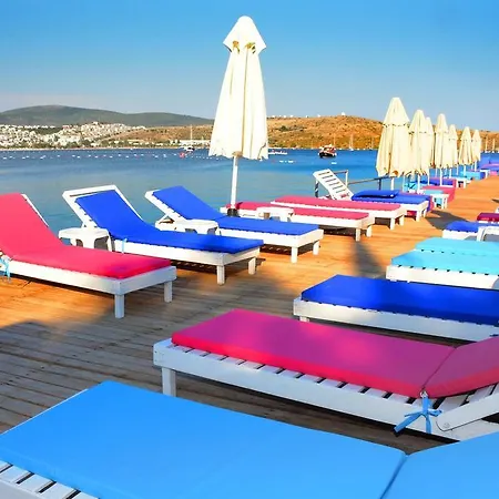 Comfy With Shared Pool Near Hotel