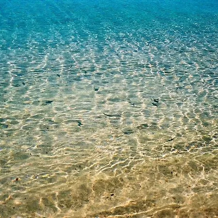 Comfy With Shared Pool Near Otel 3*