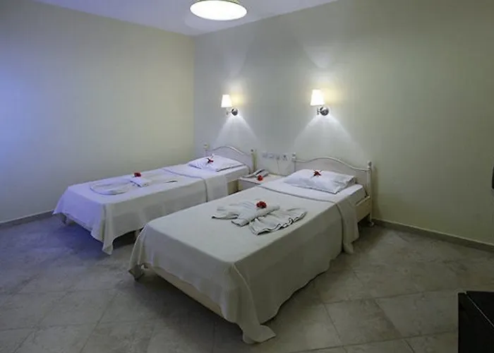 Hotel Comfy With Shared Pool Near