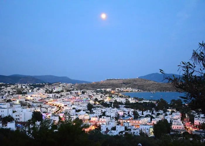 Comfy With Shared Pool Near 3* Bodrum