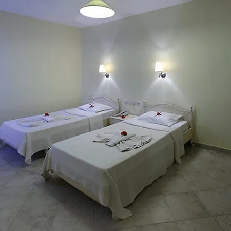 Hotel Comfy With Shared Pool Near