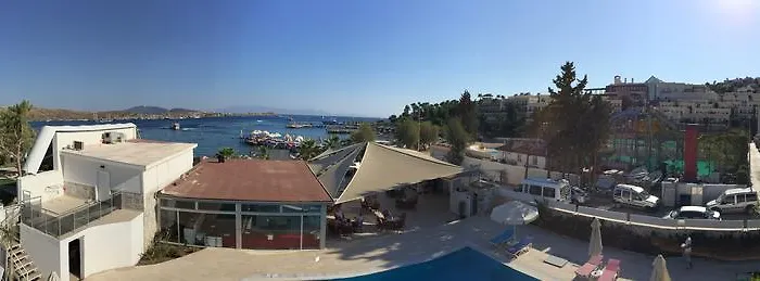 Hotel Comfy With Shared Pool Near