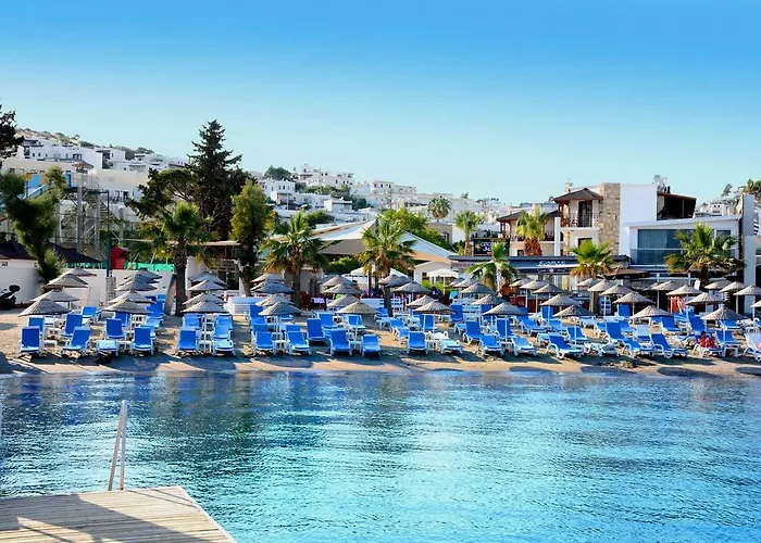Hotel Comfy With Shared Pool Near 3*