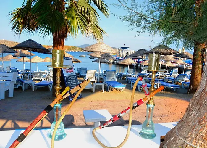 Comfy With Shared Pool Near