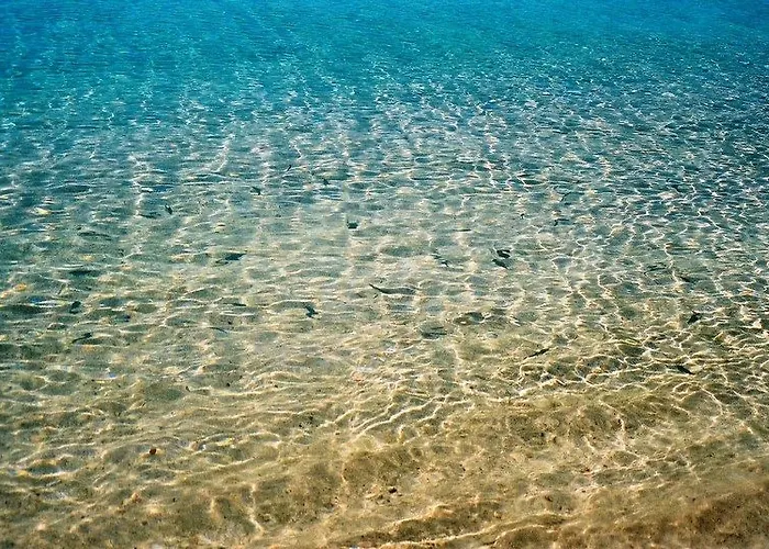 Comfy With Shared Pool Near Otel 3*